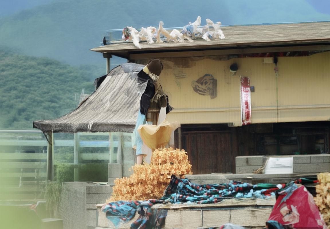 巴西秘鲁巅峰对决：南美足球盛宴回顾与解析(图4)